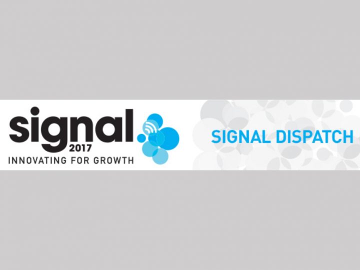 P&G Signal Dispatch Newsletter